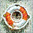 Variation 4