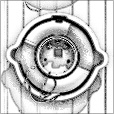 Ambient Occlusion Map