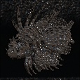Variation 5