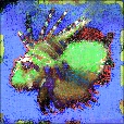 Variation 2