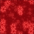 Snow Star