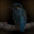 Variation 5