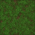 Grass V8