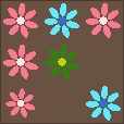 Variation 5