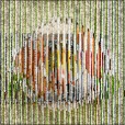 Variation 8