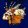 Variation 3