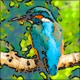 Variation 4