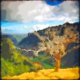 Variation 5