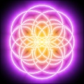 Sine-O-Graph One