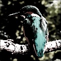 Gothic Photo Color Effect