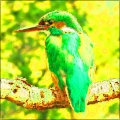 Strange Color Detail