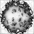 Ambient Occlusion Map