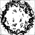 Reflective Occlusion Map