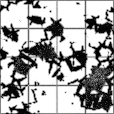 Ambient Occlusion Map