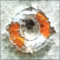Chipped and Eroded 1a