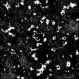 Ambient Occlusion Map
