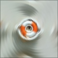 blurdy