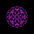 Variation 8