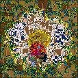 Variation 7