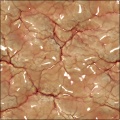 Biologic I