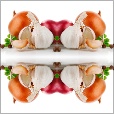 Variation 1