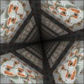 box wild perspective --the lizard scale