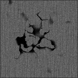 Bump Map