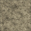 Elephant skin
