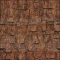 Canyon Wall