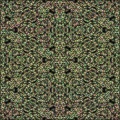 Scale Patterns