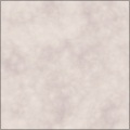 skin2