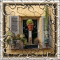Roots frames with image crackle