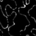 mw_Caustic