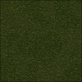 Bill's Ground Cover