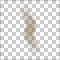 Hair lock texture generator