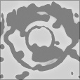 Bump Map