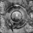 Spec Exponent Map