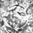 Bump Map