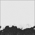 Bump Map