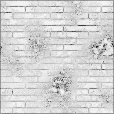 Ambient Occlusion Map