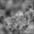 Bump Map