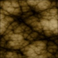 Reptile Veined Skin Texture
