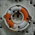 Bullet Holes in Picture