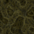 Marble Barnacle - Alien Wood