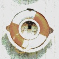 Curious Paint