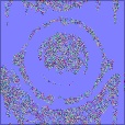 Normal Map