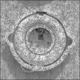 Diffuse Map