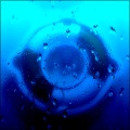 Shark Tank!