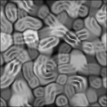 Organisms
