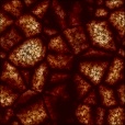 Diffuse Map